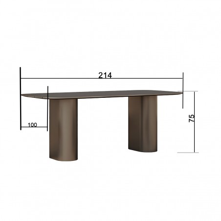 Set mobilier de 8 persoane, terasa sau gradina, aluminiu, masa robusta 214x100 cm + 8 scaune cu impletitura tip funie, Nova Luxe