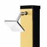 Dus solar pentru gradina, 40 Litri, robinet pentru picioare, dus de mana, cap de dus ploaie 15 cm, auriu si negru, Malaga