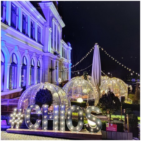 Igloo Astreea Crystal Pvc, iglu pavilion premium, complet aluminiu, iluminare Philips, sistem electric integrat, curte, piscina